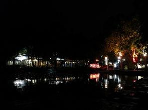 葛仙湖公园夜游活动现场灯光璀璨