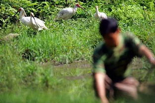 一位年轻人在田野间劳作,脸上带着笑容