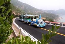 连云港海边惊现“苍蝇军团”，真相竟是它？