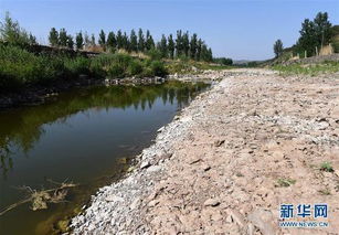 巴基斯坦农田干旱景象