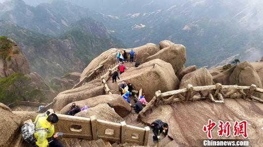 我亲历黄山景区飞虫袭人事件：游客惊慌，官方回应来了