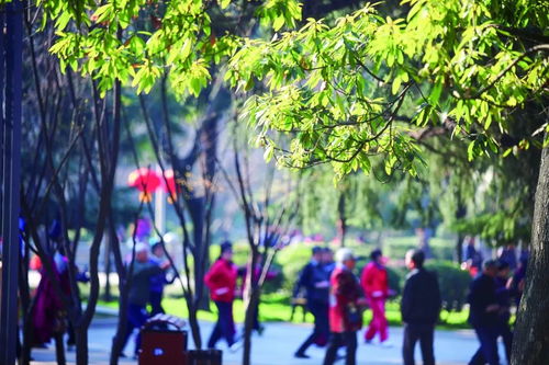 春天阳光明媚,路边绿意盎然,但司机容易感到困倦