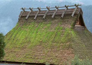 极品小农场 名窑 第2495章｜陶艺与田园梦的完美融合