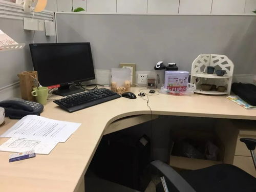 一位年轻程序员在办公室专注工作的画面