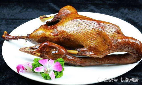 荣昌政府食堂爆火出圈！卤鹅哥手起泡，游客挤爆后厨