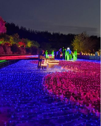 欢乐谷夜景灯光璀璨