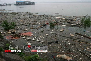 亲身经历｜长沙暴雨谣言满天飞，我决定亲自去探个究竟