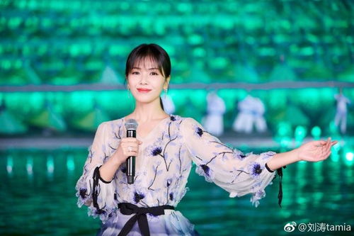 微博评论截图 刘涛怼刘奕畅 网友看法