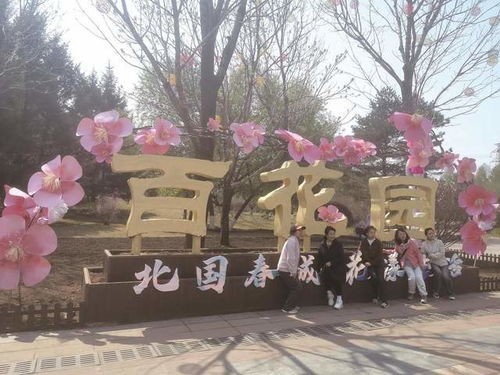 长春百花园花朝文化节现场