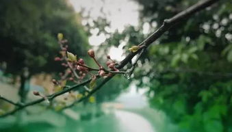 雨天陌生人共用一把伞的画面