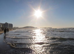 夕阳下的村咖门口坐着几位顾客