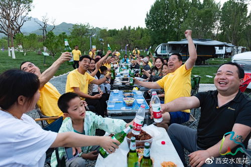 小猫悟空去世仍有多个疑点｜百万粉丝博主赵朔讲述背后真相