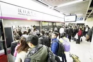 返程高峰来了，我亲历的春运与假期尾声交通实录