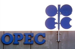 OPEC+成员国国旗排列展示