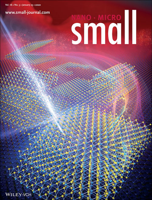 医学期刊封面展示图