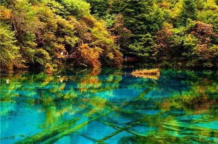 九寨沟湖面倒映着蓝天白云的美景