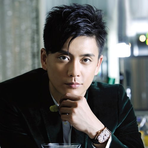 黄宗泽接受媒体采访现场照片