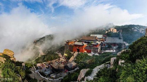 泰山景区工作人员现场处置