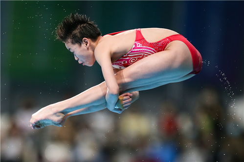 全红婵接受采访时表达对粉丝文化的担忧