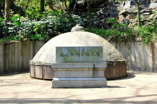 弃养父亲病逝 儿子与继母争遗产｜亲情崩塌背后的法律边界