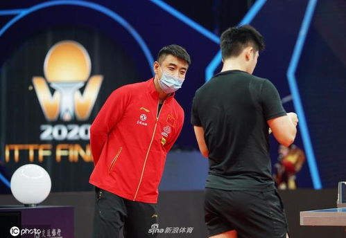 王皓指导樊振东训练