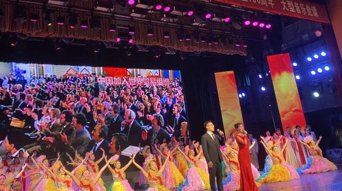 敦煌落日合唱派对现场观众互动