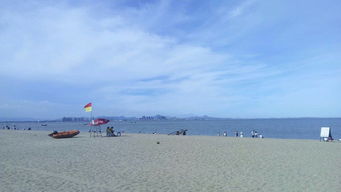 厦门观音山沙滩俯瞰图