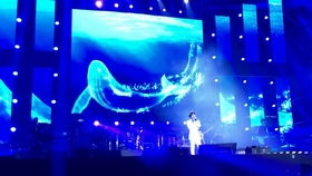 周深罗云熙音乐节风波全解析：粉丝互撕背后，真相到底是什么？