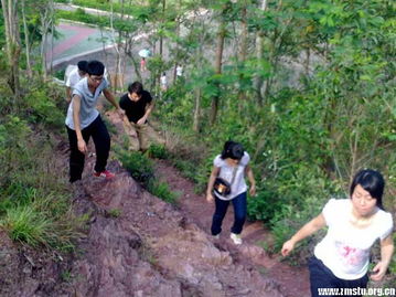 家长带着孩子在山间小路上行走