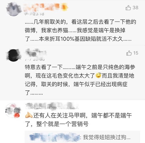 短剧女王道歉风波：网红、明星与企业高管的‘翻车’现场全记录