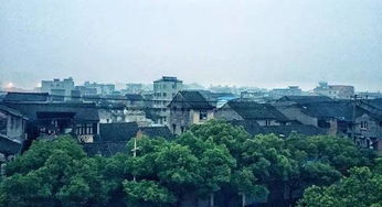 年轻人花几十万开村咖，淡季只能关门？真实故事背后的冷思考