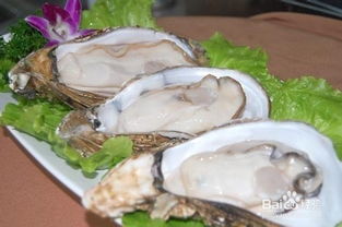 技术人员正在为生蚝安装追踪标签