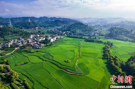 今日立夏万物至此皆长大｜我的初夏生活小记