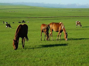 祖国山河大地陆续切换夏天模式，我的夏日旅行日记