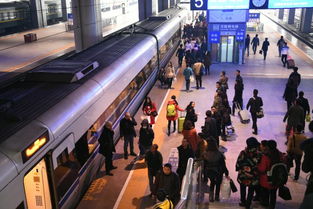 五一假期全国消费市场数据来了！我亲历的火爆文旅与出行现场