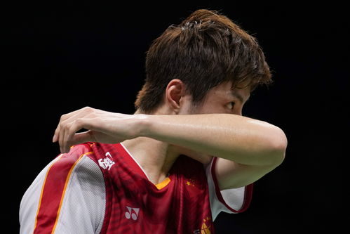 石宇奇战胜日本选手奈良冈功大