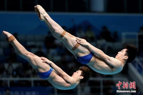 中国跳水梦之队闪耀北京！包揽世界杯总决赛9金全记录