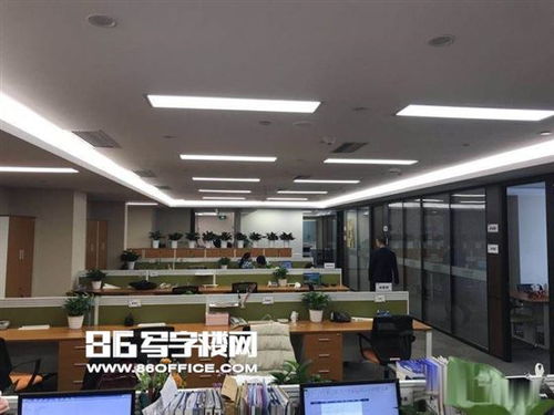 华尔街金融办公室内年轻交易员正在看盘