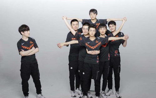 TES战队全员备战决赛