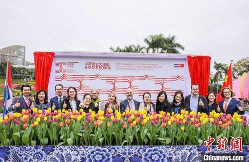 中荷建交纪念活动图片