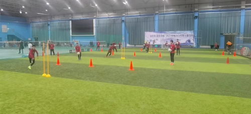 赵心童训练场景