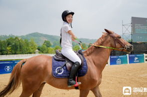 老人误买550只鸡崽