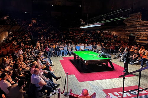 赵心童庆祝击败奥沙利文