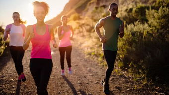 行动不一定带来快乐，但快乐总是源于行动