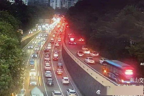 天桥上拍摄的城市晚高峰人流剪影