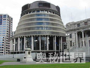 新西兰拟禁16岁以下用社媒，家长和孩子怎么看？