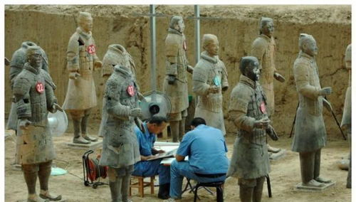 冷知识大揭秘：这些历史冷门真相，你知道几个？