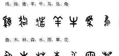 看故事品人生：甲骨丈八荒，竹简载兴亡，活字醒春秋，星河续炎黄