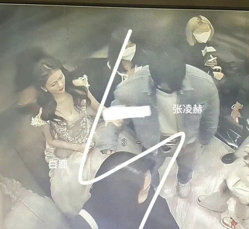 张凌赫撕拉片风波：从热搜到热议的全记录