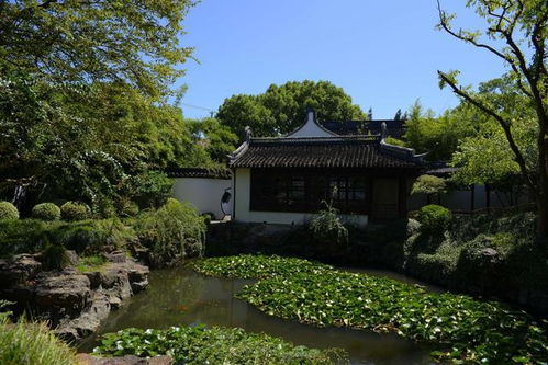 曼听御花园古色古香的亭台楼阁